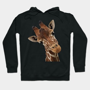 Giraffe Hoodie